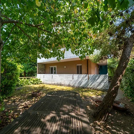 Daire Guesthost - Sunny Haven In Pineta